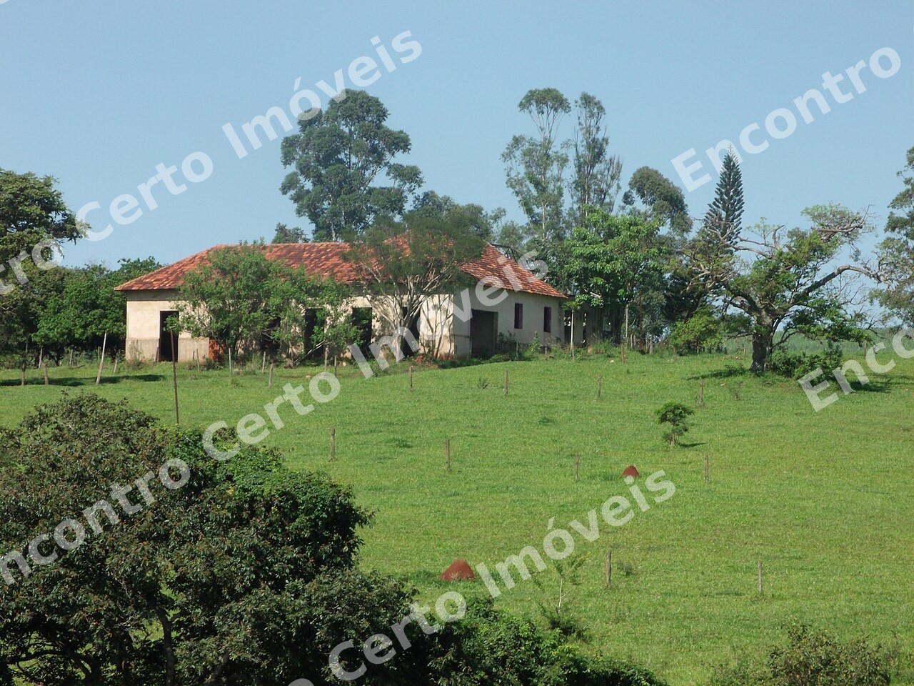 Chácara de 5.000 m² com piscina e pomar em Lagoa Santa